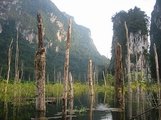 Khao Sok